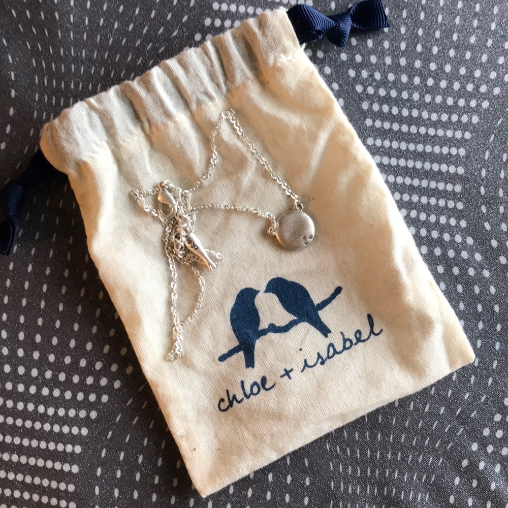Chloe and Isabel silver necklace